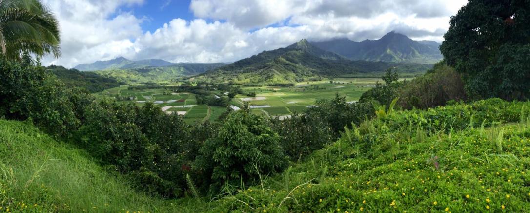 14902879_10102285731003651_5394012465435228568_o