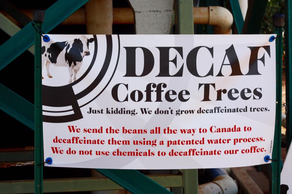 14907589_10102285725085511_5686938469468922580_n