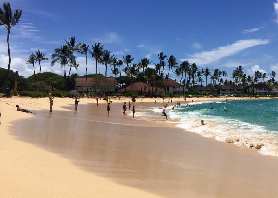 14915234_10102285730729201_6948486602909480170_n