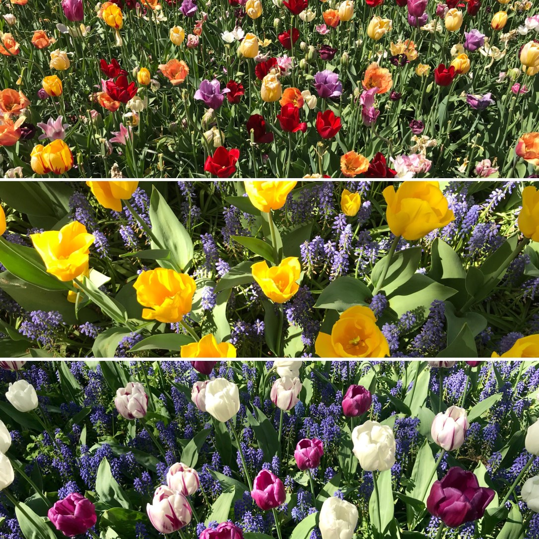 1F40FECB-5A37-4949-9ECE-982E107DCB28